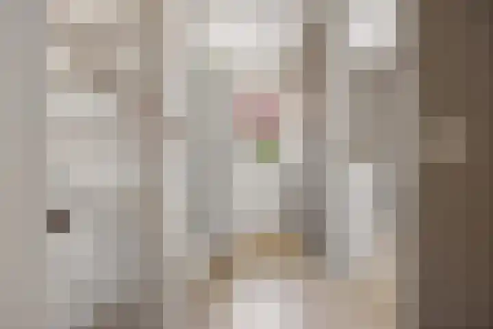 Brasemstraat 6 Assen thumbnail 37
