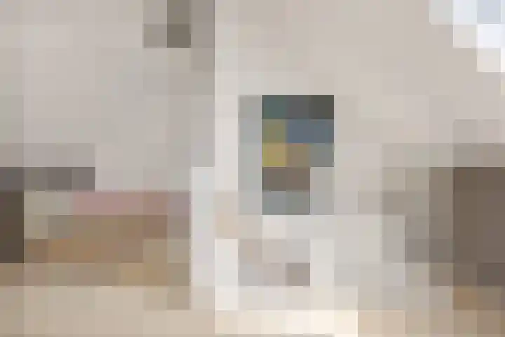 Brasemstraat 6 Assen thumbnail 38
