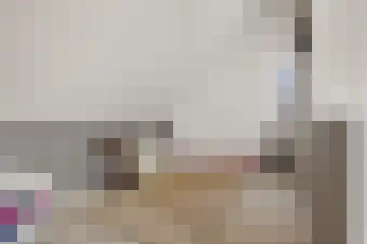 Brasemstraat 6 Assen thumbnail 39