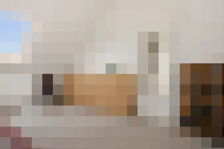 Brasemstraat 6 Assen thumbnail 42