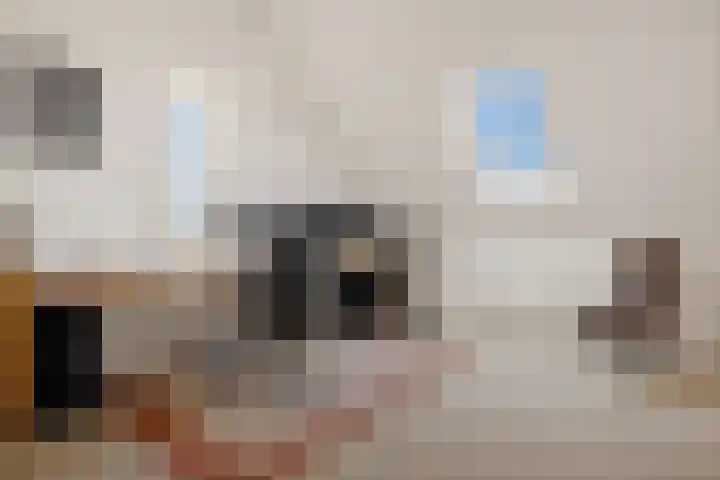 Brasemstraat 6 Assen thumbnail 43