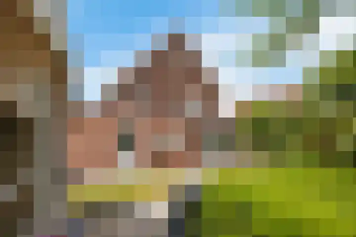 Brasemstraat 6 Assen thumbnail 45