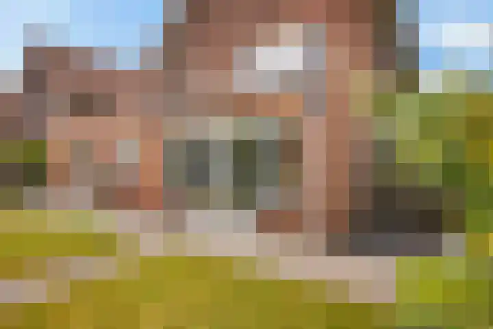 Brasemstraat 6 Assen thumbnail 46