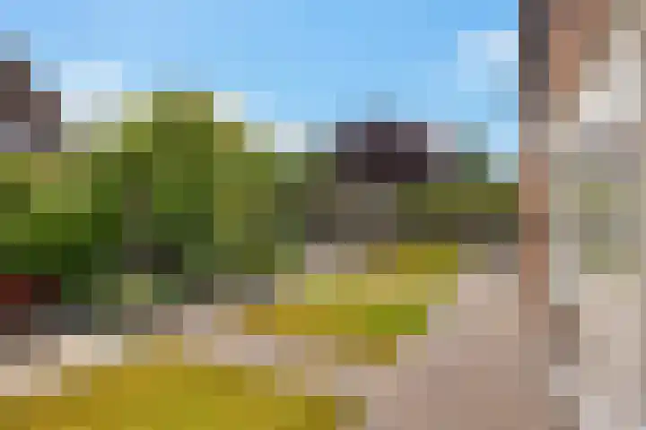 Brasemstraat 6 Assen thumbnail 47