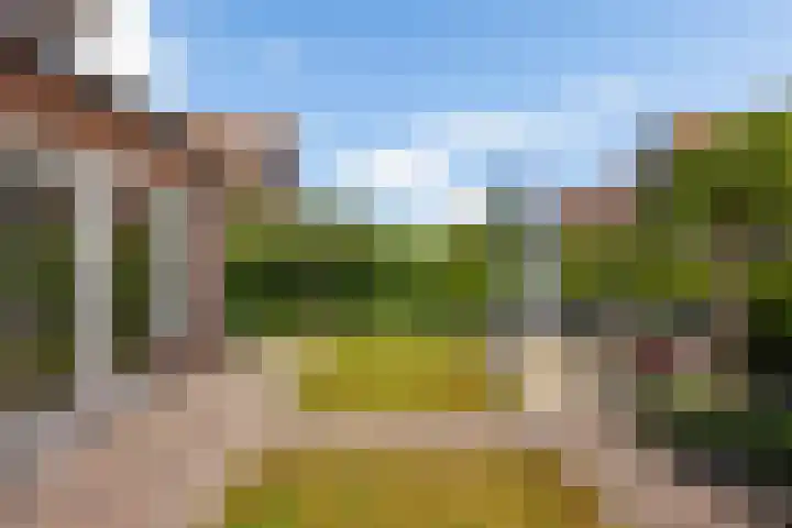 Brasemstraat 6 Assen thumbnail 48
