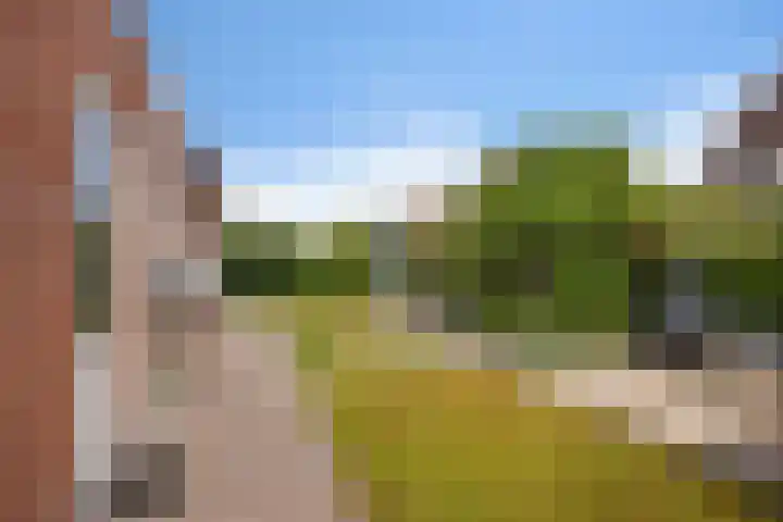 Brasemstraat 6 Assen thumbnail 49