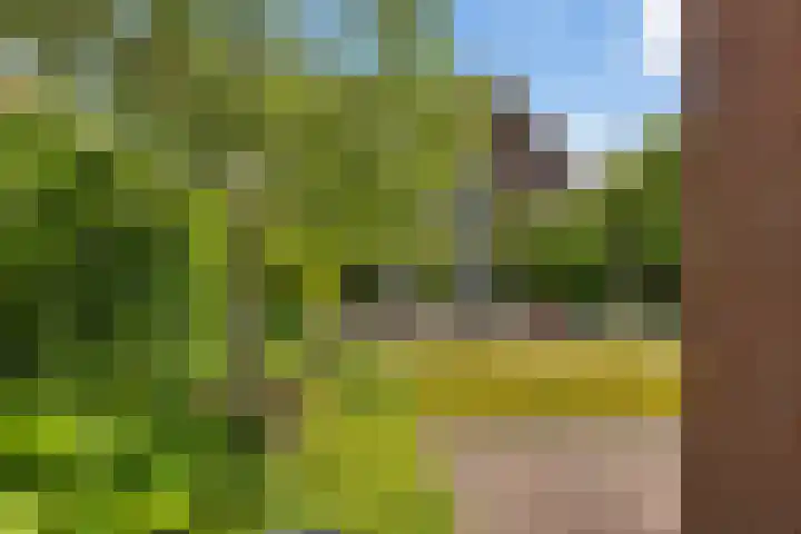 Brasemstraat 6 Assen thumbnail 50