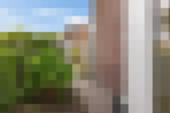 Brasemstraat 6 Assen thumbnail 51