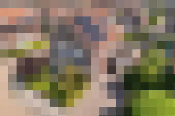 Brasemstraat 6 Assen thumbnail 53