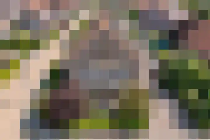 Brasemstraat 6 Assen thumbnail 54