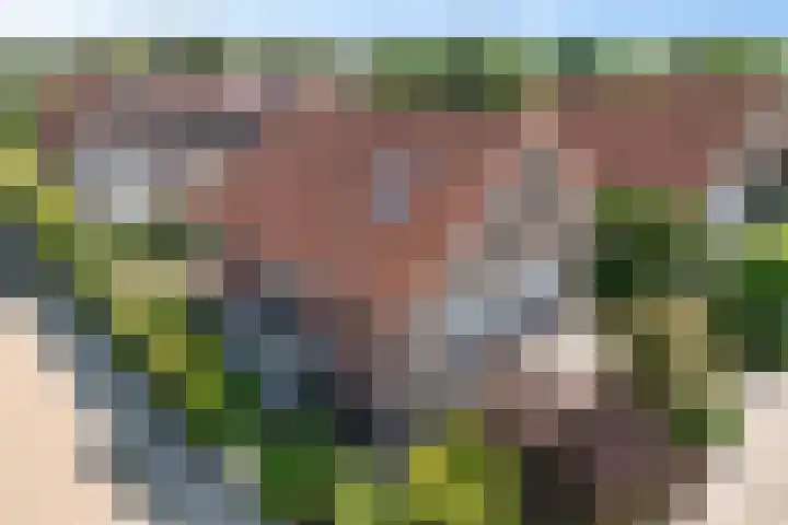 Brasemstraat 6 Assen thumbnail 55