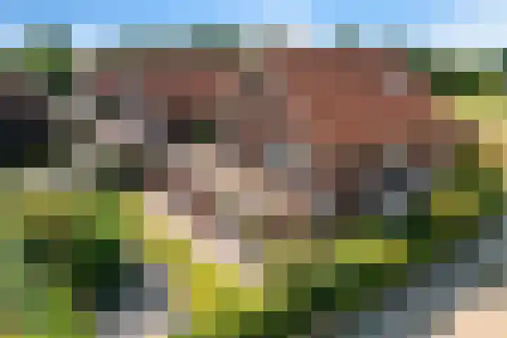 Brasemstraat 6 Assen thumbnail 56