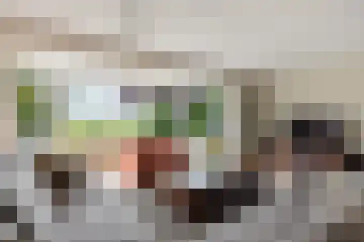 Brasemstraat 6 Assen thumbnail 7