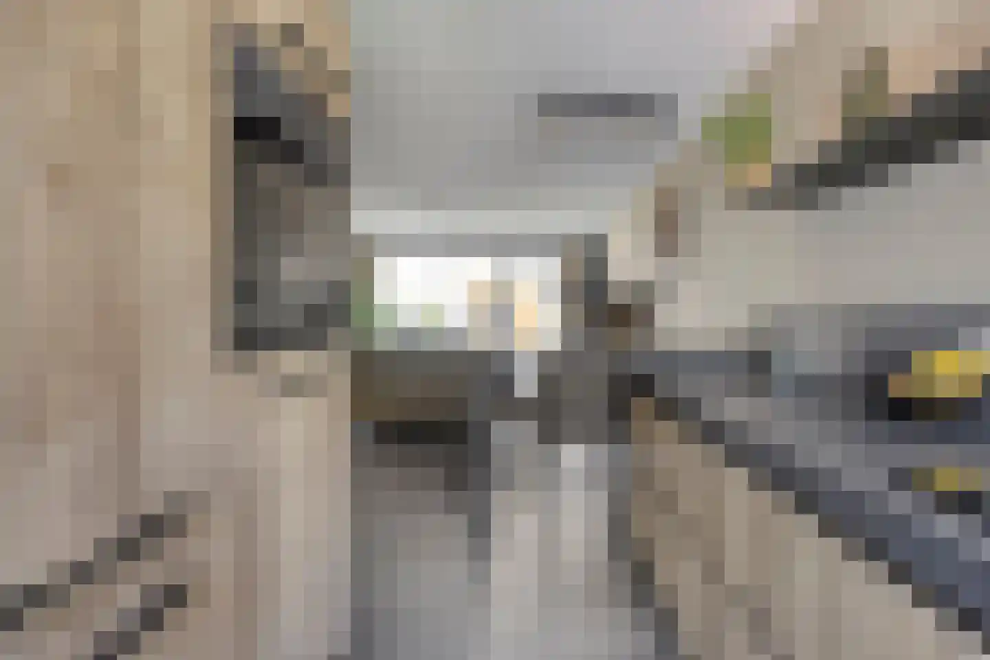 Brasemstraat 7 Hoogvliet Rotterdam thumbnail 11
