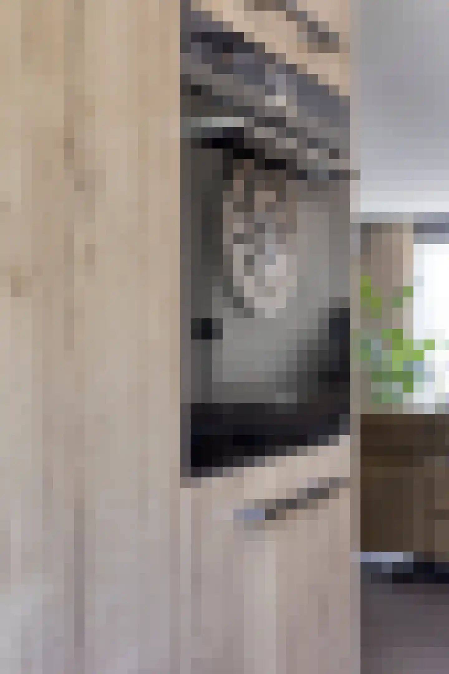 Brasemstraat 7 Hoogvliet Rotterdam thumbnail 13
