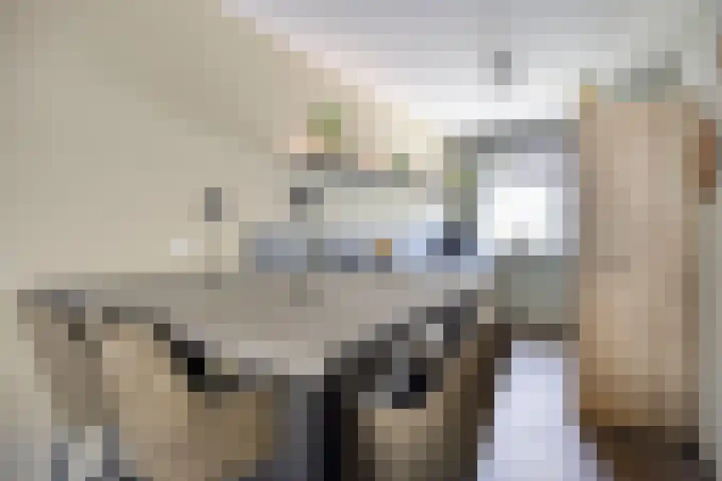 Brasemstraat 7 Hoogvliet Rotterdam thumbnail 15