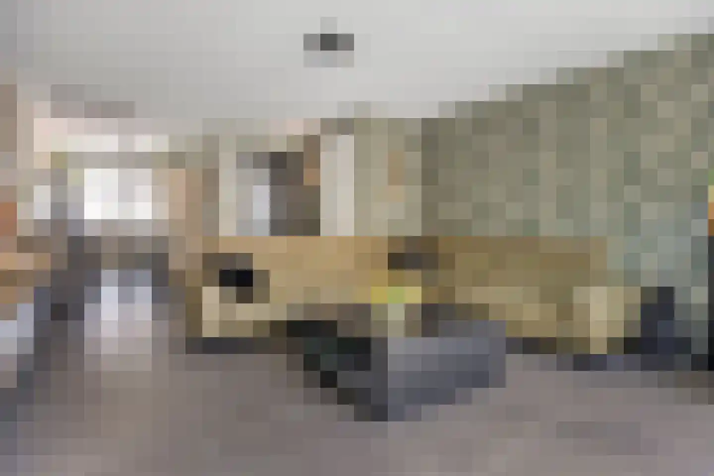 Brasemstraat 7 Hoogvliet Rotterdam thumbnail 16