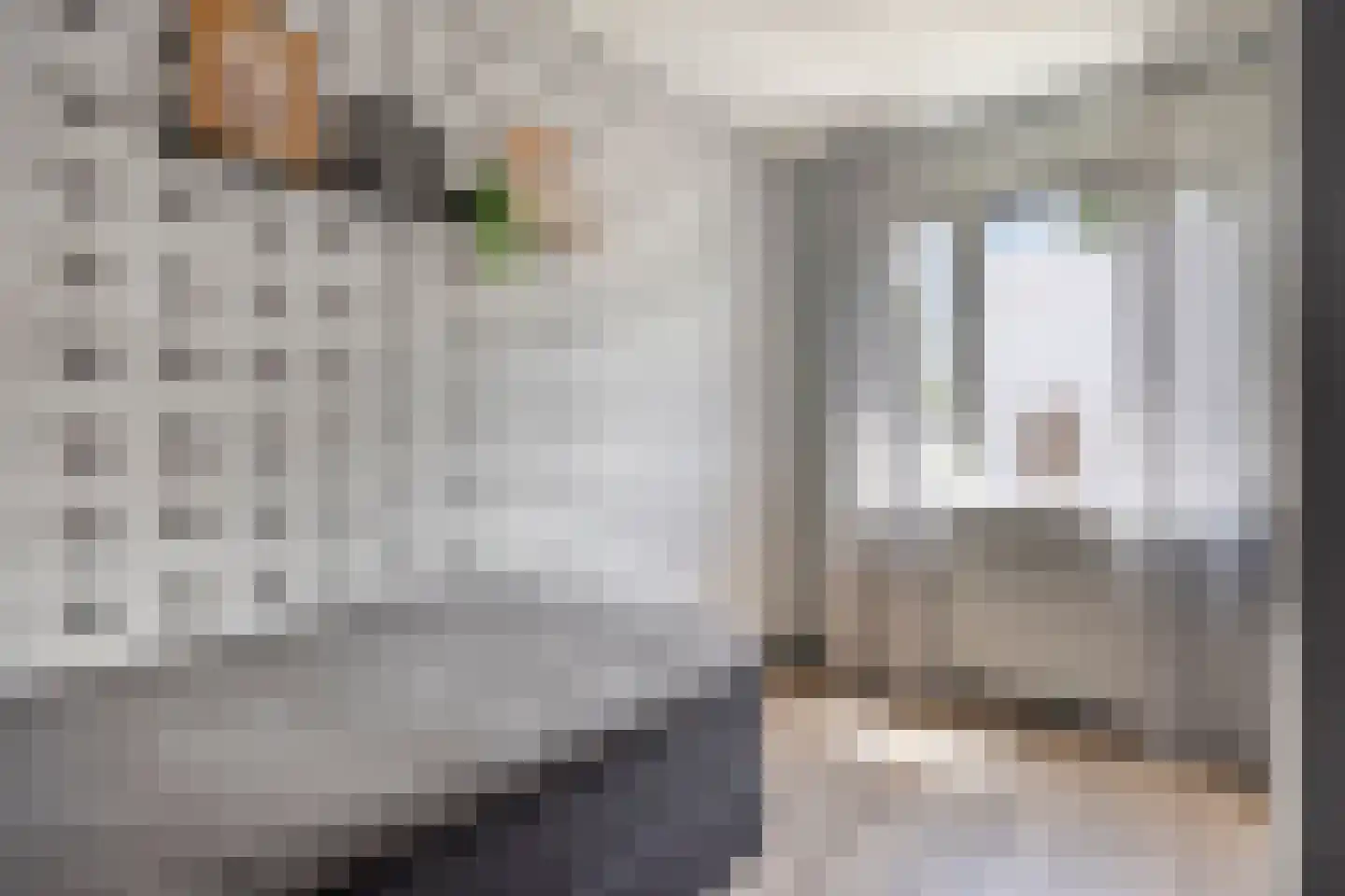 Brasemstraat 7 Hoogvliet Rotterdam thumbnail 24