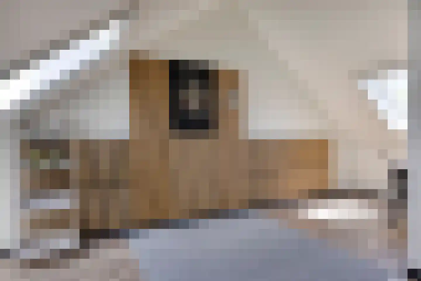 Brasemstraat 7 Hoogvliet Rotterdam thumbnail 27