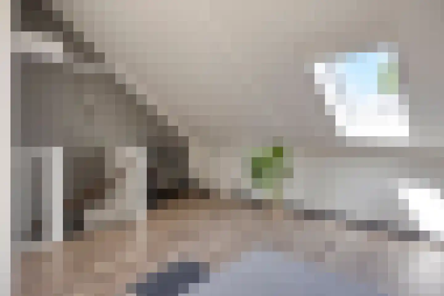 Brasemstraat 7 Hoogvliet Rotterdam thumbnail 28