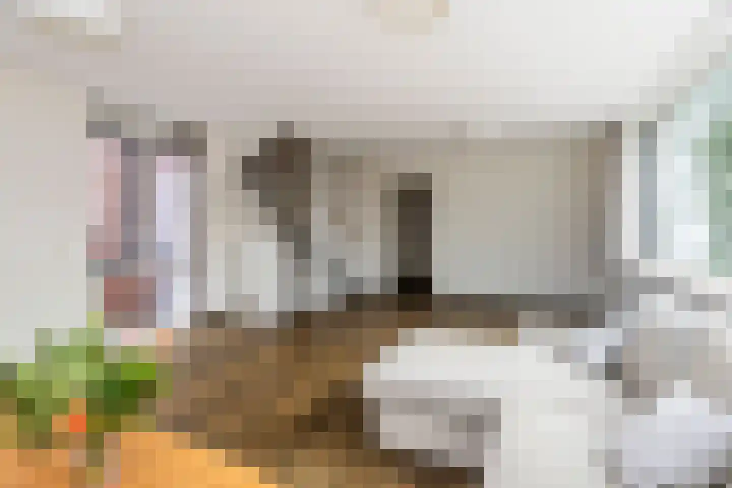 Brasiliastraat 54 Den Haag thumbnail 17
