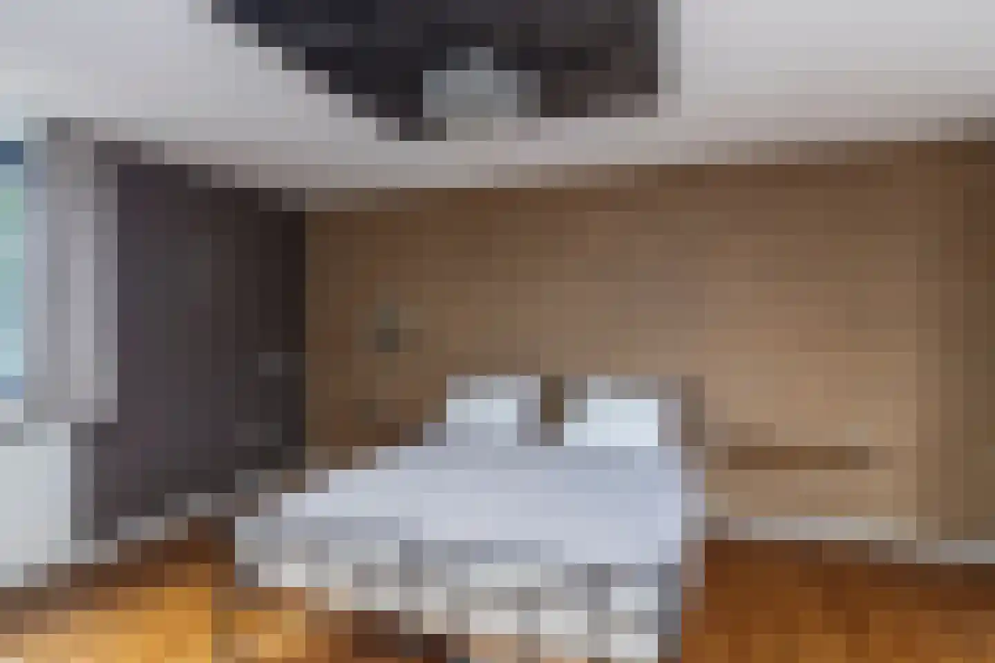 Brasiliastraat 54 Den Haag thumbnail 22