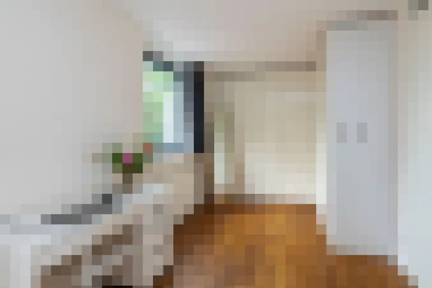 Brasiliastraat 54 Den Haag thumbnail 25