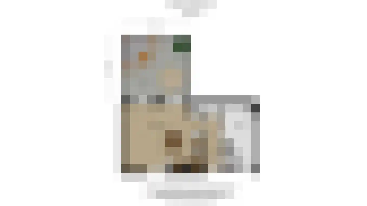 Brasiliastraat 54 Den Haag thumbnail 33