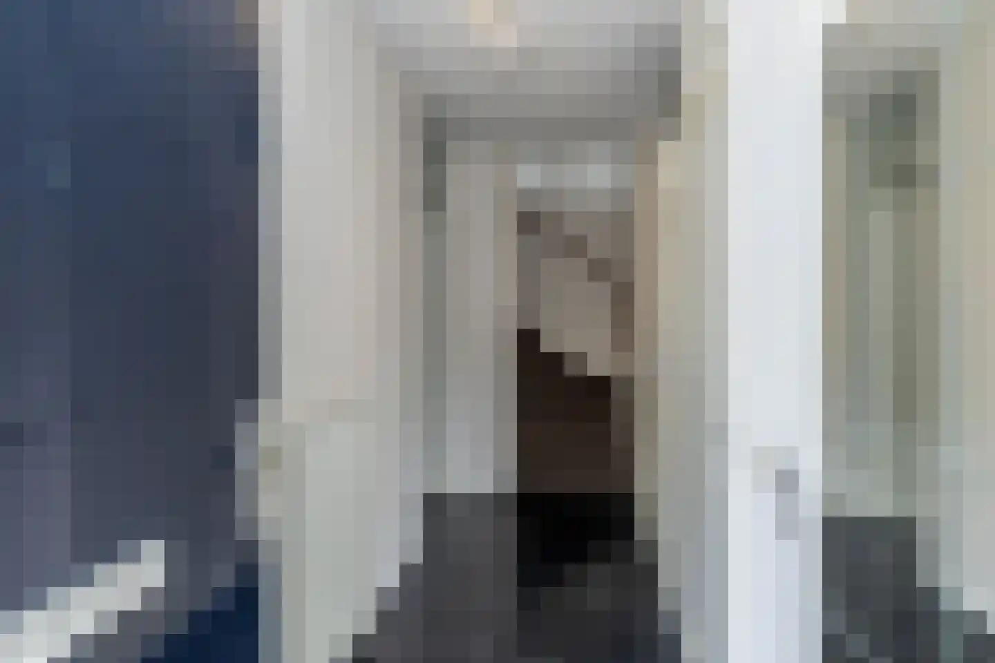 Brasiliastraat 54 Den Haag thumbnail 5