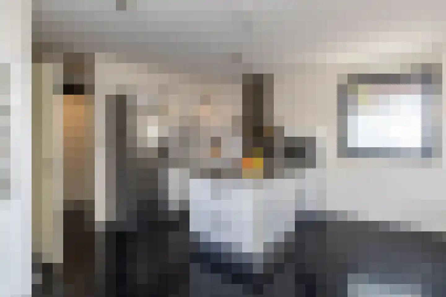 Brasiliastraat 54 Den Haag thumbnail 6