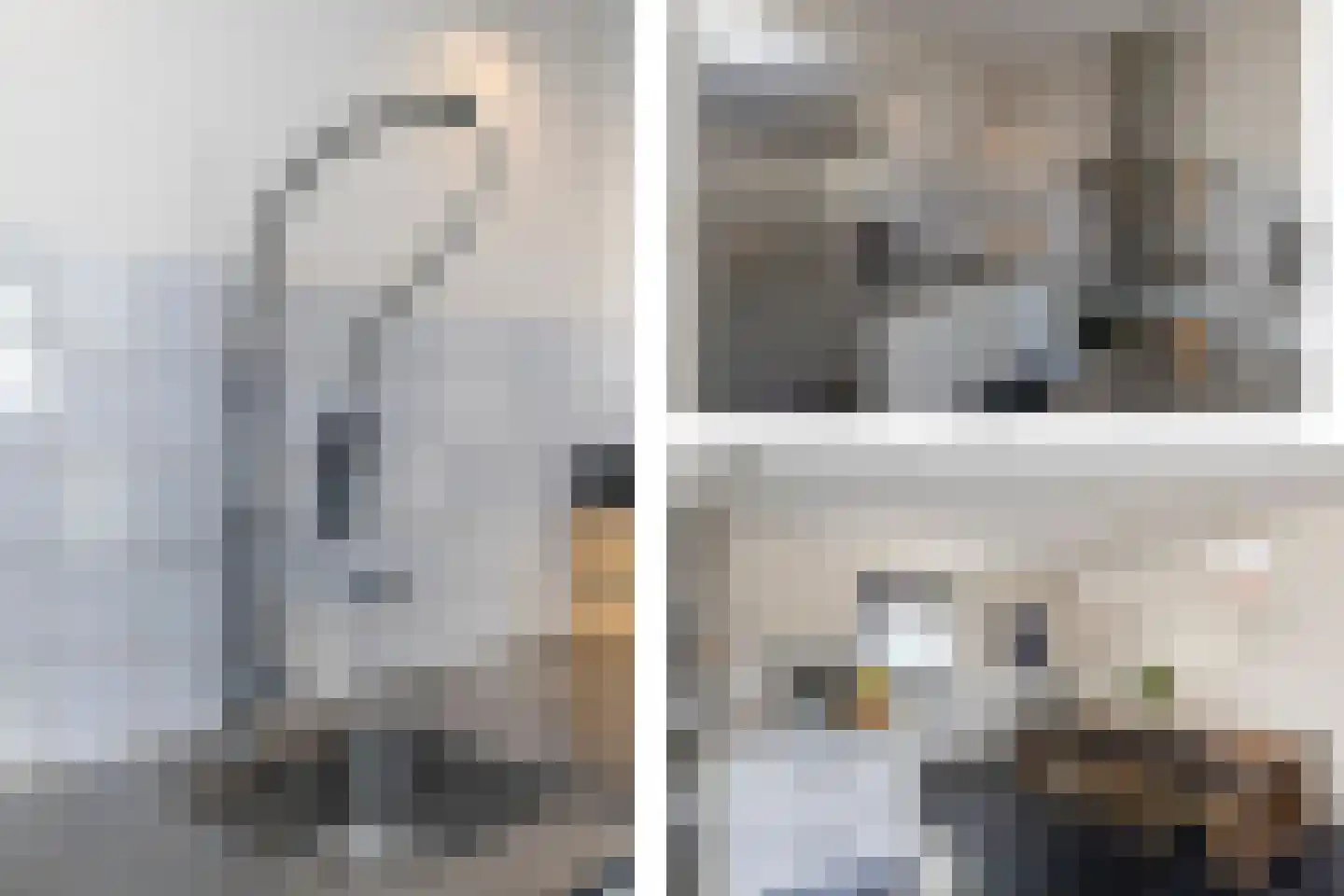 Brasiliastraat 54 Den Haag thumbnail 8
