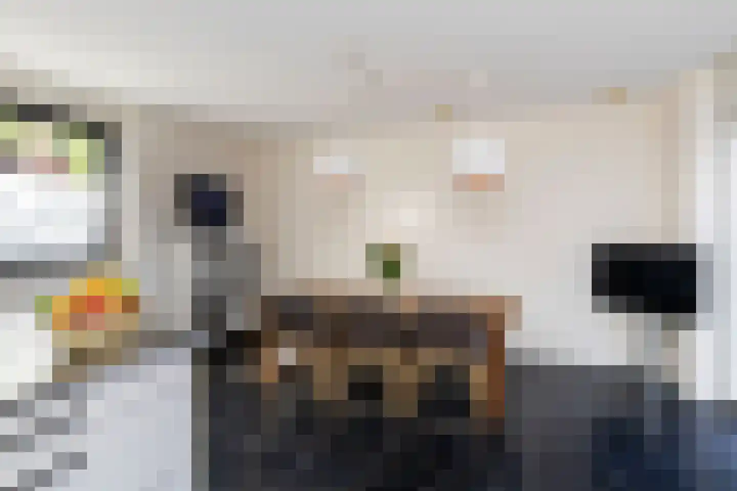 Brasiliastraat 54 Den Haag thumbnail 9
