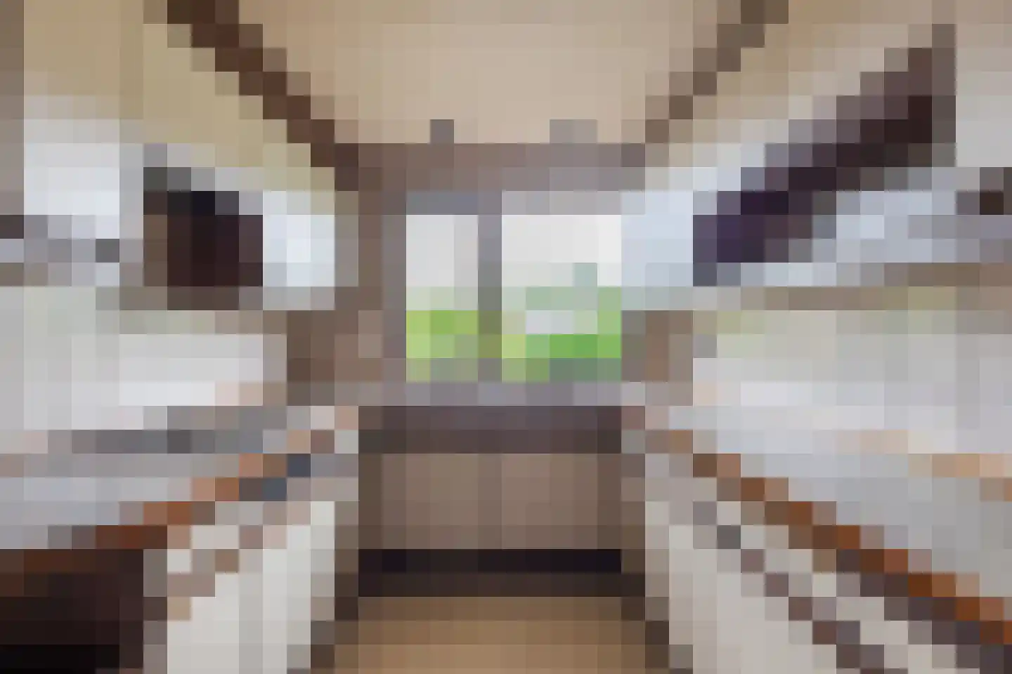Braspenning 3 Mijdrecht thumbnail 9