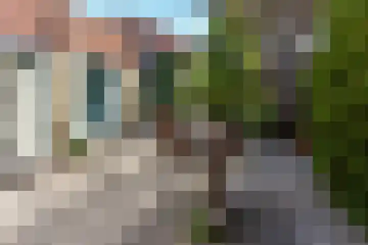 Braspenning 6 Mijdrecht thumbnail 15