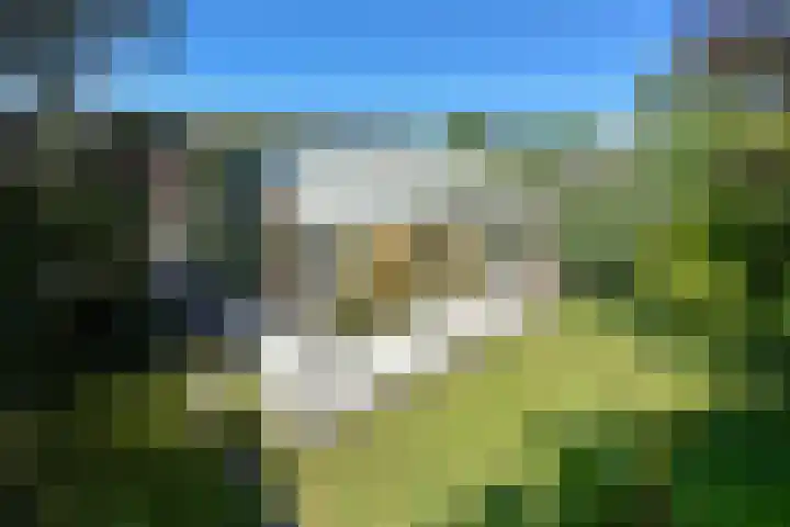Braspenning 6 Mijdrecht thumbnail 33