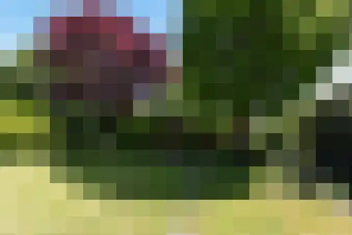 Braspenning 6 Mijdrecht thumbnail 37