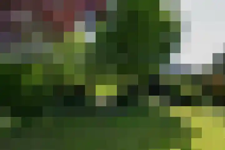 Braspenning 6 Mijdrecht thumbnail 38