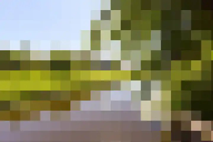 Braspenning 6 Mijdrecht thumbnail 39