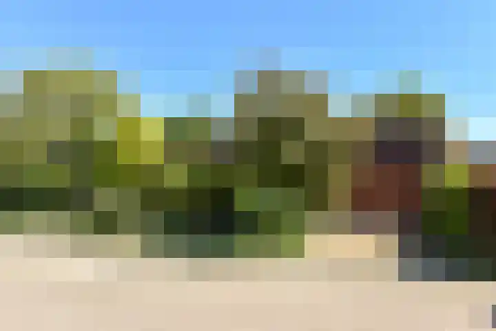 Braspenning 6 Mijdrecht thumbnail 41