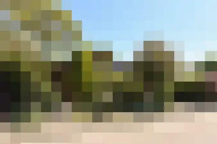 Braspenning 6 Mijdrecht thumbnail 44