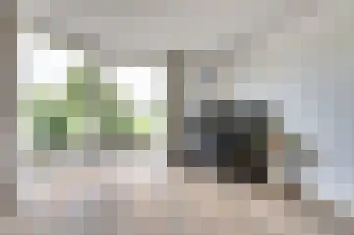 Braspenning 8 Dronten thumbnail 10