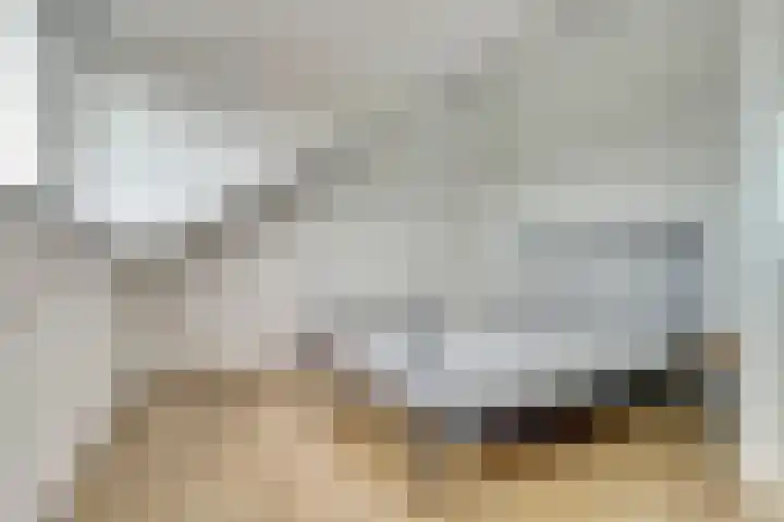 Braspenning 8 Dronten thumbnail 32