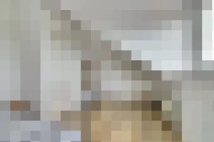 Braspenning 8 Dronten thumbnail 33