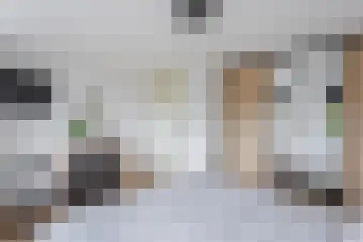 Braspenning 8 Dronten thumbnail 34