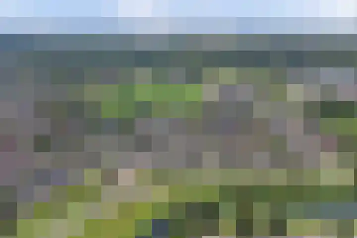 Braspenning 8 Dronten thumbnail 37