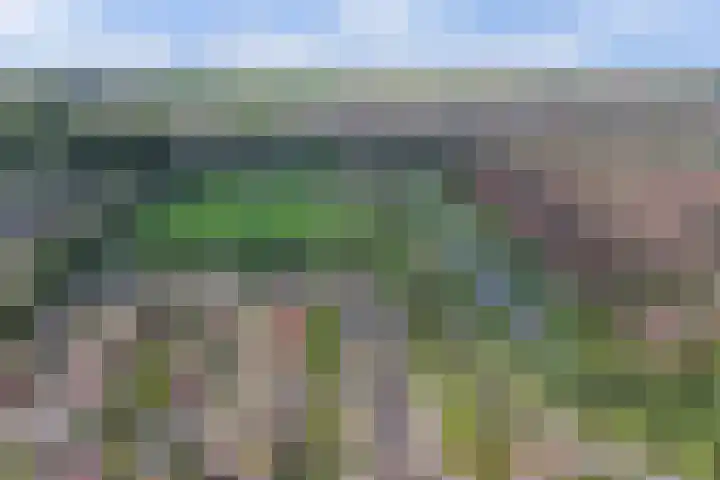 Braspenning 8 Dronten thumbnail 38