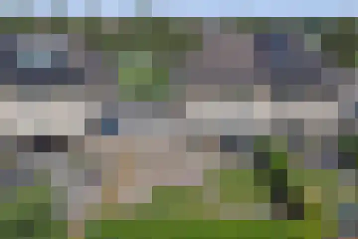 Braspenning 8 Dronten thumbnail 39