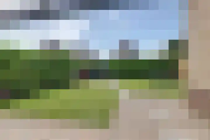 Braspenning 8 Dronten thumbnail 42