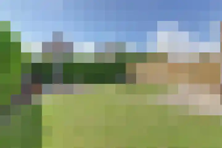 Braspenning 8 Dronten thumbnail 43