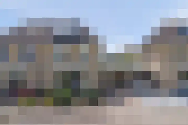 Braspenning 8 Dronten thumbnail 44
